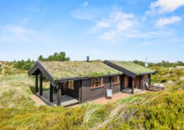 Gemütliches Holzferienhaus für 4 Personen in Grærup Strand. Kat. nr.:  52141, Bjørnedalen 12;