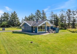 Tolles Ferienhaus mit Whirlpool und Sauna in Blåvand, 2 Hunde