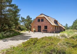 Reetgedecktes Poolhaus mit Wildmarksbad in schöner Lage Blåvands