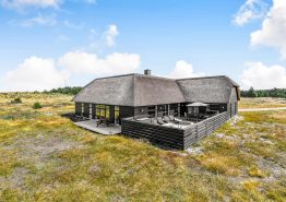 Luksuriøst sommerhus med pool og wellness tæt på stranden, 1 hund