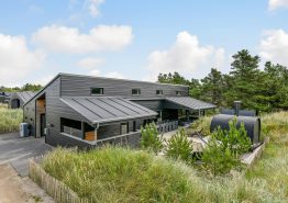 Luxushaus in Blavand mit Aktivitätsraum, Außenwhirlpool und – sauna