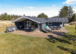 Sommerhus i Blåvand tæt på stranden og byen, 2 hunde tilladt