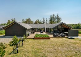 Aktivitätshaus mit Billard, Pool und Aussenwhirlpool in Blåvand