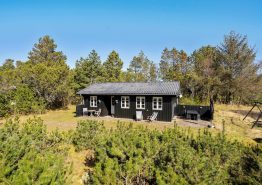 Renoviertes Sommerhaus mitten im Grünen am Rande Blåvands