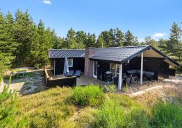 Gemütlich renoviertes Ferienhaus mit Whirlpool in Blåvand