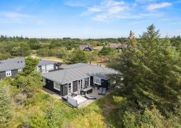 Moderne aktivitetshus med pool i naturskønne omgivelser i Blåvand. Kat. nr.:  60273, Svinget 1A;