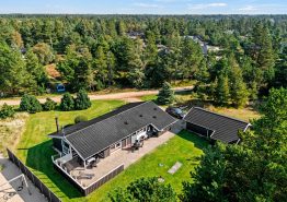 Gemütliches Ferienhaus in Blåvand für 8 Personen mit Sauna und Spa
