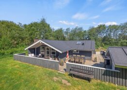 Ferienhausidylle auf einem ungestörten Naturgrundstück in Blåvand
