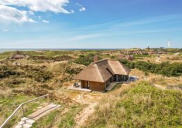 Femstjernet feriehus i Blåvand med udsigt til Blåvandshuk Fyr