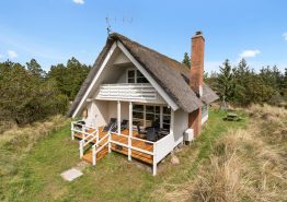 Idyllisk sommerhus med sauna til 6 personer i Blåvand