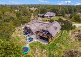 Großes Ferienhaus mit Pool, Whirlpool und Sauna in Blåvand