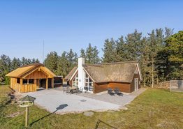 Firestjernet sommerhus med spa, sauna og udespa i Blåvand