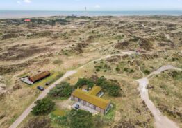 Rustikales Ferienhaus mit Badetonne in Blåvand