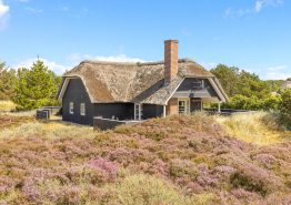 Sommerhus 450 meter fra stranden med spa og sauna. Kat. nr.:  60386, Sydslugen 3;