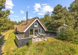 Tolles Ferienhaus mit Außensauna und Shelter in Blåvand