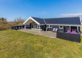 Modernes Ferienhaus mit Whirlpool, Sauna und Beachvolleyball