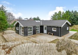 Femstjernet sommerhus med spa og sauna i Blåvand