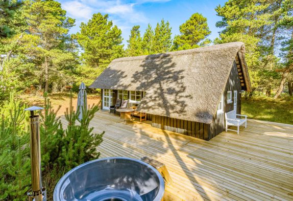 Hyggeligt sommerhus med vildmarksbad i Blåvand