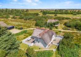 Gemütliches Reetdachhaus mit Kaminofen – 6 Personen