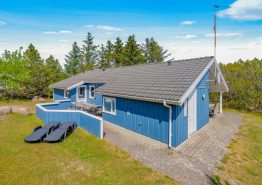 Charmantes Ferienhaus mit Whirlpool in Blåvand