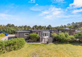 Hyggeligt feriehus med brændeovn i Blåvand