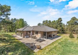 Ferienhaus „Hygge“ mit Whirlpool für 6 Personen in Blåvand