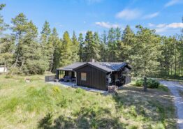 Schönes Ferienhaus für die Familie mitten in der Natur