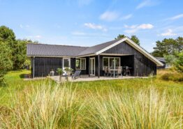 Klassisches Ferienhaus „Hygge“ mit Kamin für 6 Personen in Blåvand
