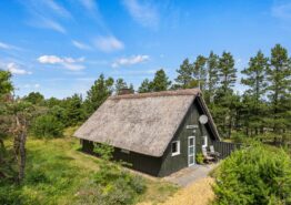 Hyggeligt sommerhus til 4 personer og 2 hunde i Blåvand. Kat. nr.:  60437, Hedetoftvej 44;