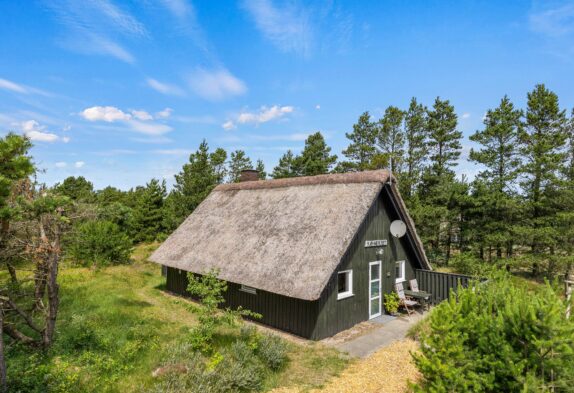 Hyggeligt sommerhus til 4 personer og 2 hunde i Blåvand