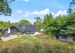 Wunderbares Ferienhaus mit Außen-Whirlpool und Sauna in Blåvand