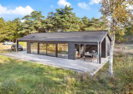 Skønt, firestjernet feriehus til 5 personer i Blåvand