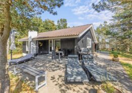 Lyst, moderne sommerhus med brændeovn i Blåvand