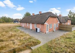 Hyggeliges Reetdach-Haus in Blåvand mit Sauna und Whirlpool