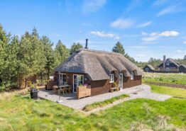 Lækkert stråtækt sommerhus i naturskønne omgivelser i Blåvand. Kat. nr.:  60511, Solhaven 49;