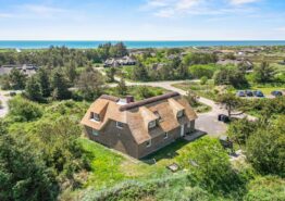 Reetdachhaus mit Pool, Whirlpool und Sauna. Kat. nr.:  60513, Horns Rev 10;