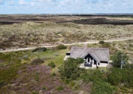 Reetdach Haus mit Leuchtturm Blick- 5 Personen. Kat. nr.:  60549, Vestermarken 14;
