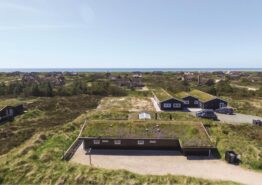 Poolhaus perfekt für den Familienurlaub und 4 Hunde. Kat. nr.:  60563, Sydslugen 19;