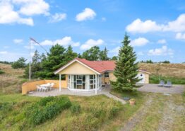 Gemütliches Ferienhaus für 6 Personen und 1 Hund in Blåvand
