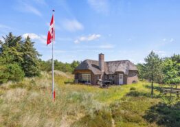 Gemütliches Ferienhaus mit Sauna – 2 Hunde willkommen. Kat. nr.:  60613, Nordslugen 7;