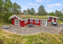 Hygge foran brændeovnen i huset med græs på taget. Kat. nr.:  60630, Ved Heksebjerg 7;