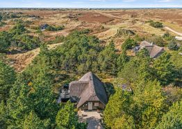 Reetgedecktes Ferienhaus mit Sauna und Kamin. Kat. nr.:  60631, Vestermarken 2B;