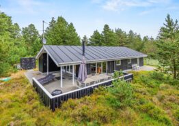 Hyggeligt sommerhus i Blåvand midt i naturen. Kat. nr.:  60643, Lommen 6;