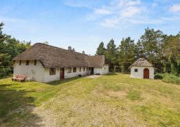 Go’, gammeldaws hygge i fint, stråtækt sommerhus med spa. Kat. nr.:  60644, Blåvandvej 75;
