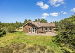 Kleines, gemütliches Ferienhaus mit Kamin in Blåvand