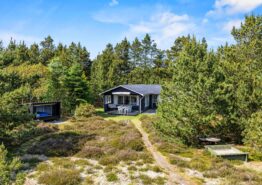 Dejligt sommerhus med brændeovn i Blåvand. Kat. nr.:  60687, Møllehusvej 38;