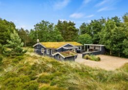 Gemütliches Ferienhaus mit Kaminofen in Blåvand