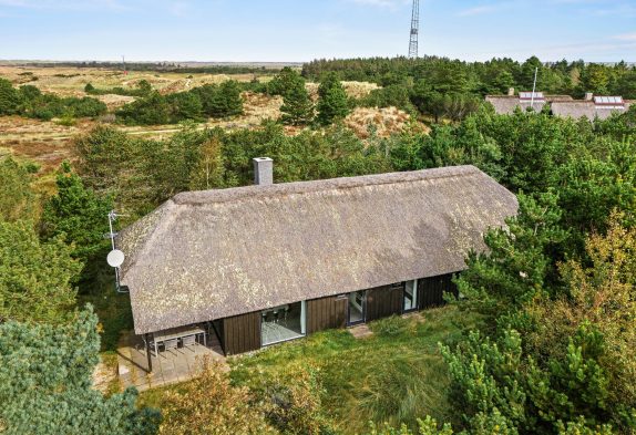 Hyggeligt sommerhus med brændeovn og sauna i Blåvand
