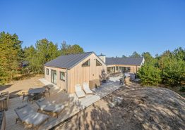 Blavand. Kat. nr.:  , ;