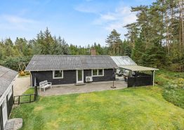 Skønt saunahus i Ho til hele familien og 2 hunde